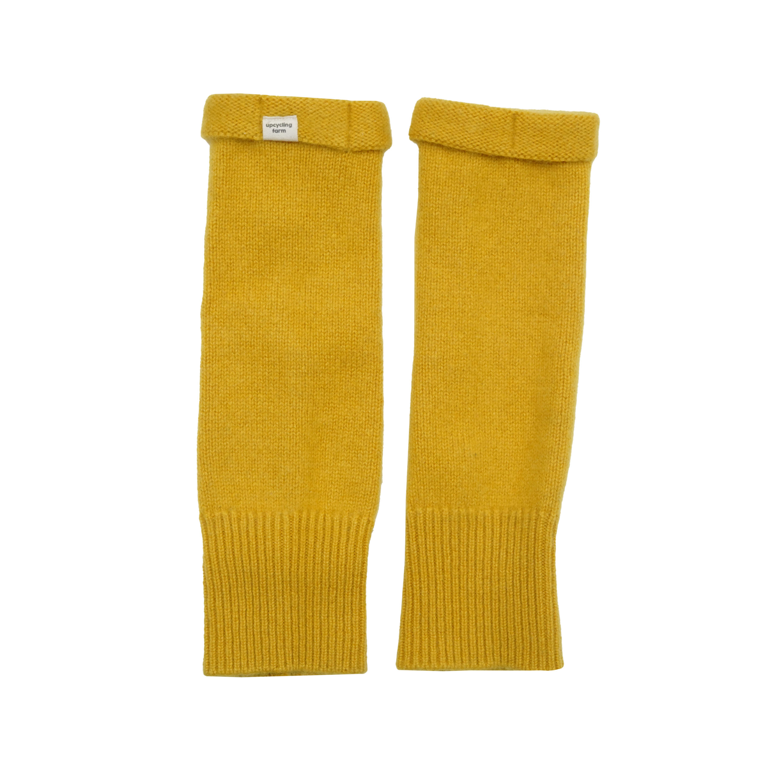 Sunflower Yellow